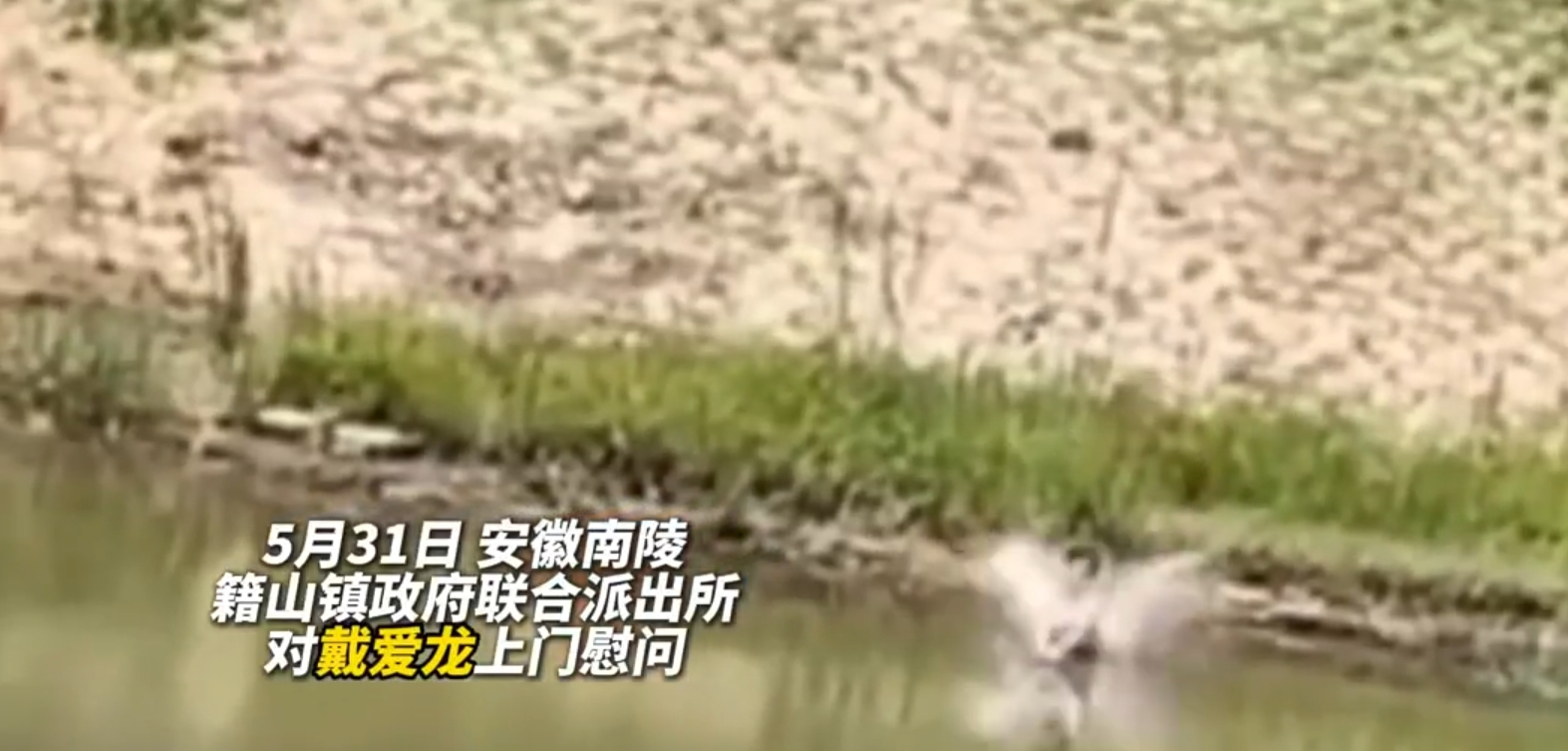 安徽南陵：理发师跳河勇救落水者获警察点赞