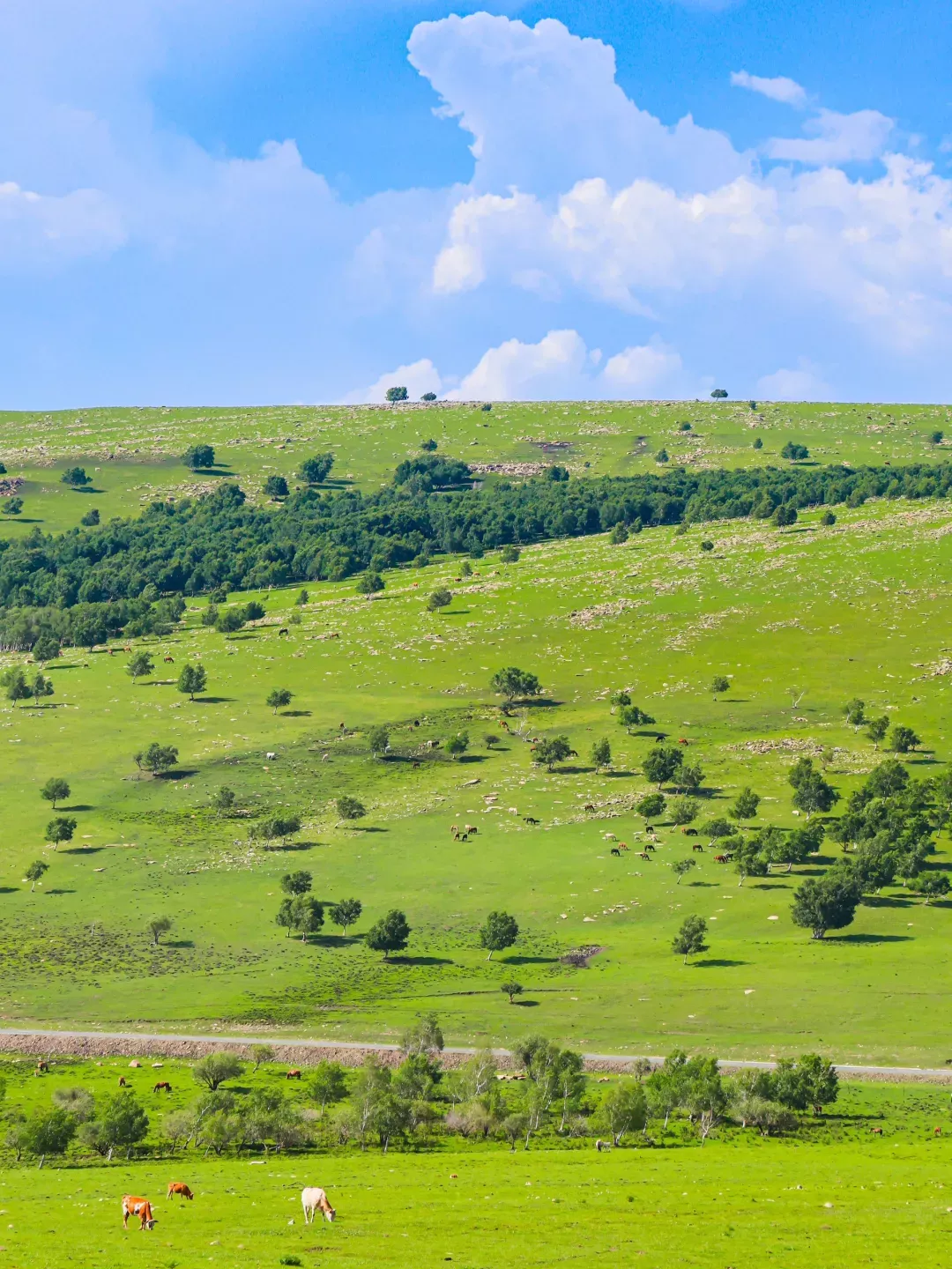 来自马蜂窝用户@小如意mama