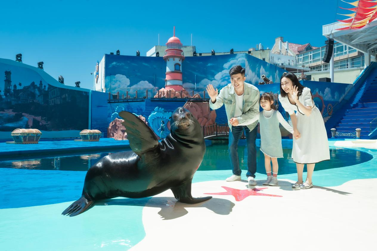 青岛极地海洋公园:北极熊的花式端午,特色“宝粽”庆佳节