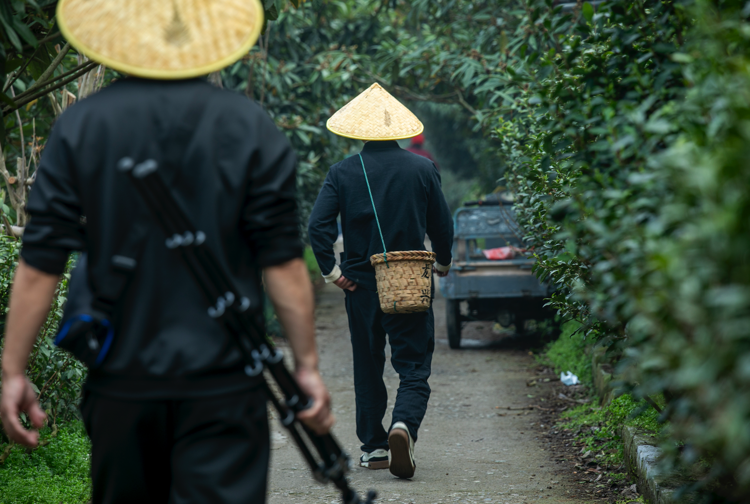 “自在”的长三角：藏不住了长三角其实是个大景区(图3)