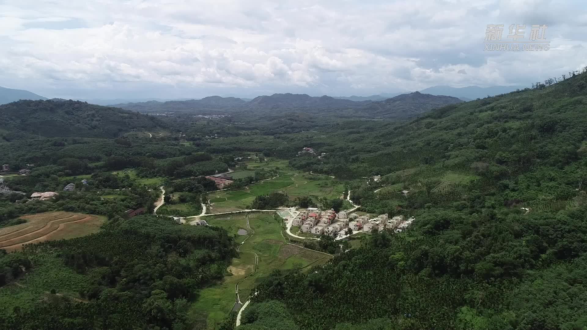 海南黎族“三色粽”包裹村民多彩生活