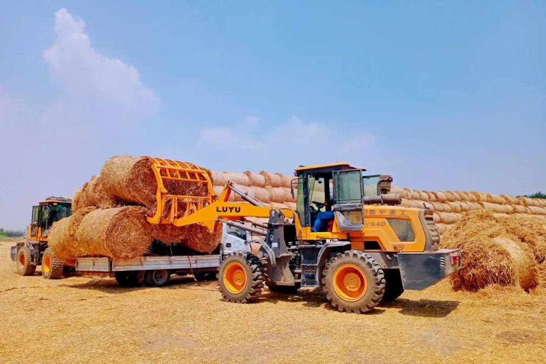 徐州沛县:点"草"成金,让秸秆"变废为宝"