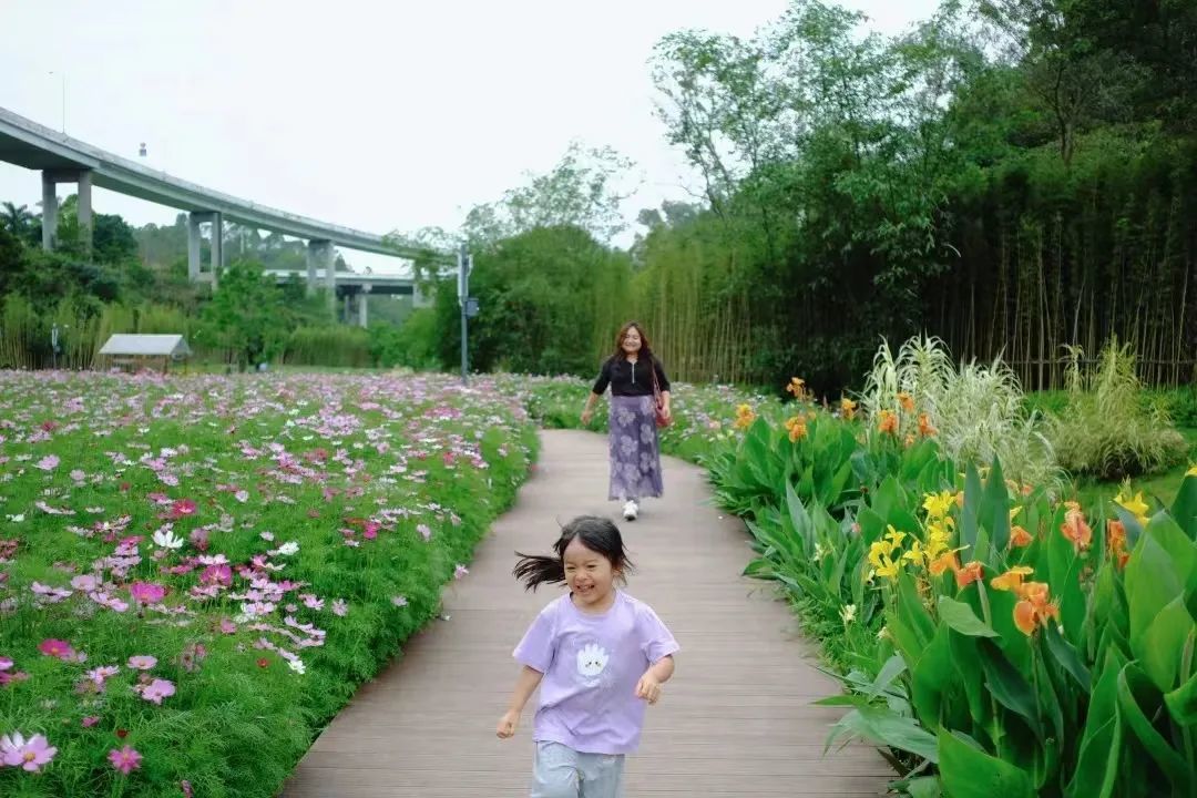 6月，来大运看演唱会！诸多福利等你来领取！