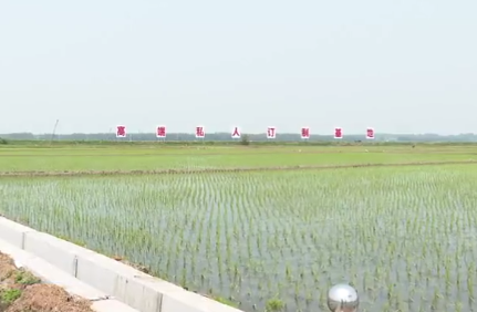 永吉县：76万亩“耕地”变“良田”