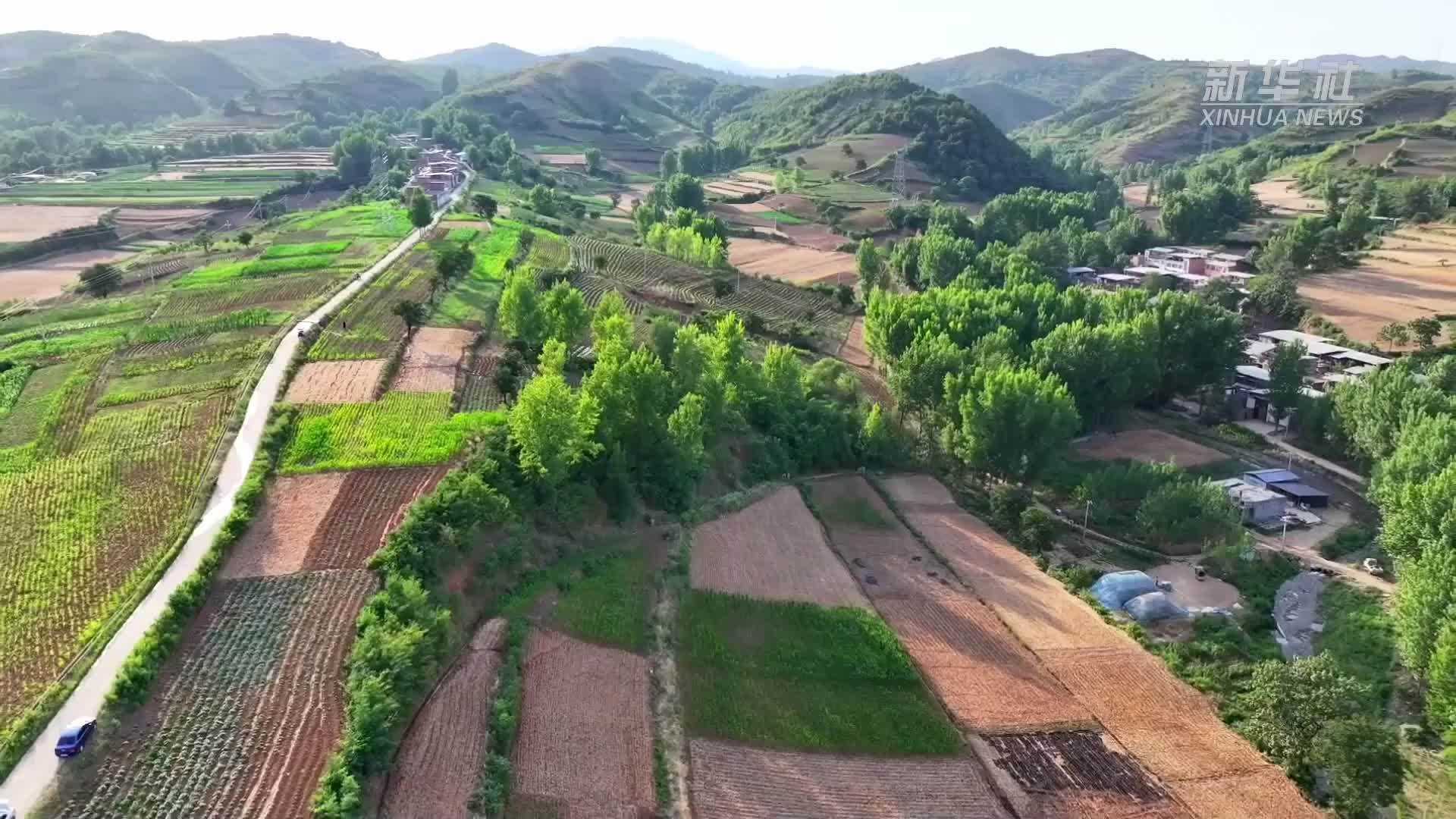 河南嵩县：应对高温 全力抗旱保夏种