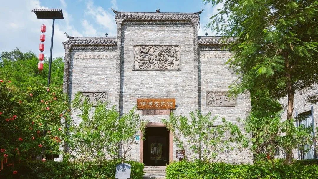 6月，来大运看演唱会！诸多福利等你来领取！