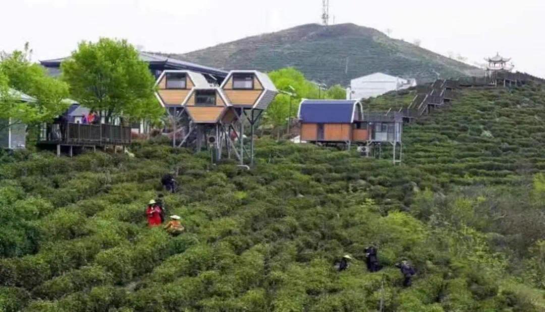 陕西>正文草堂街道高冠村李家岩度假区→太平峪煤场村南焉·花里民宿