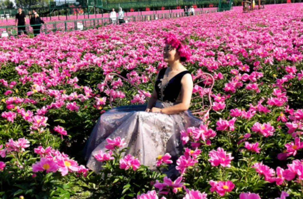 大庆"旅拍",最近有点火