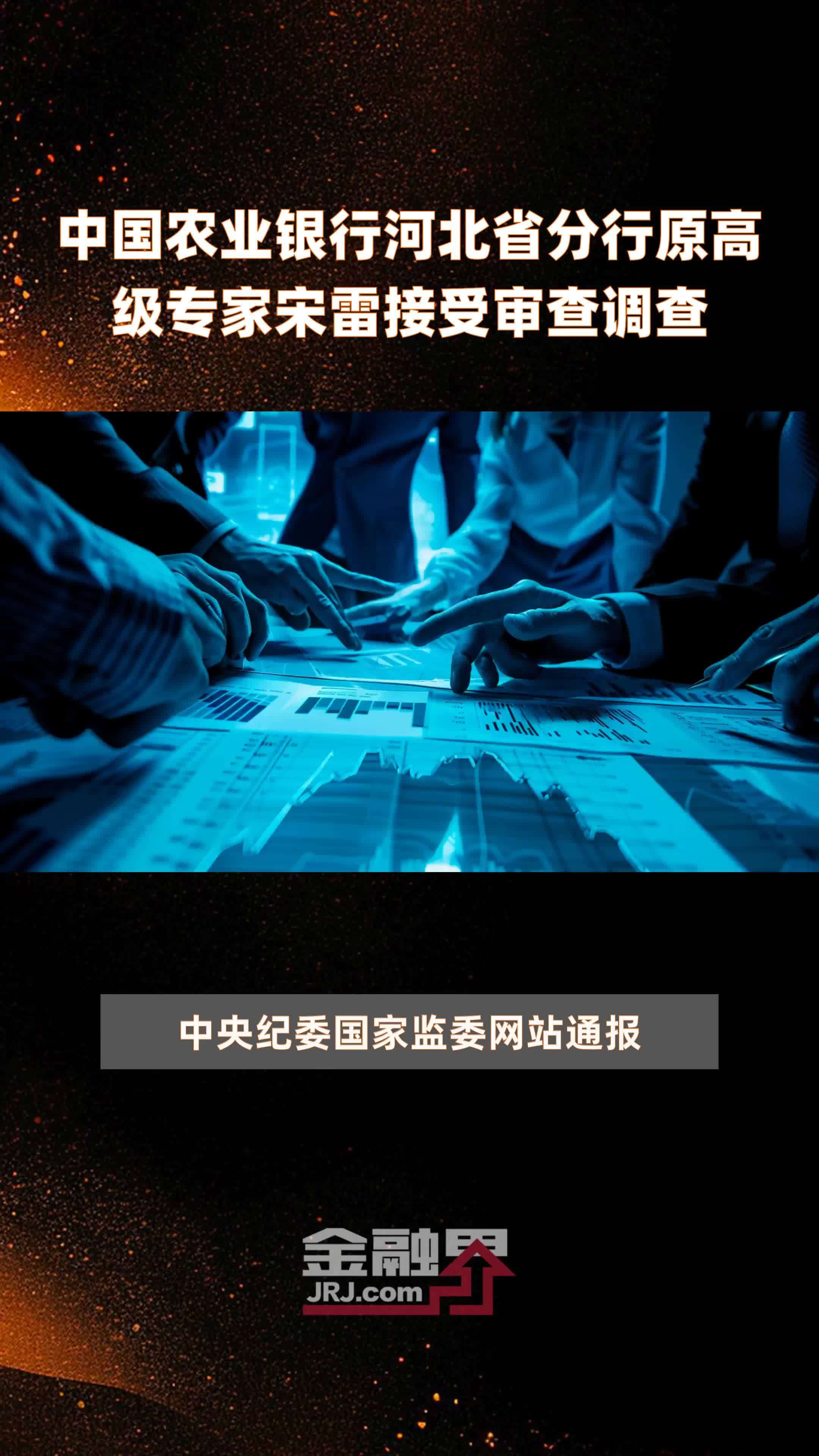 中国农业银行河北省分行原高级专家宋雷接受审查调查|快报
