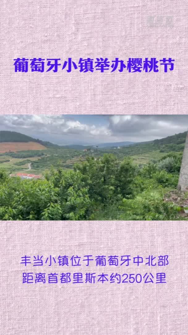 葡萄牙小镇举办樱桃节