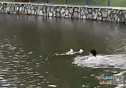 靠近(视频截图)