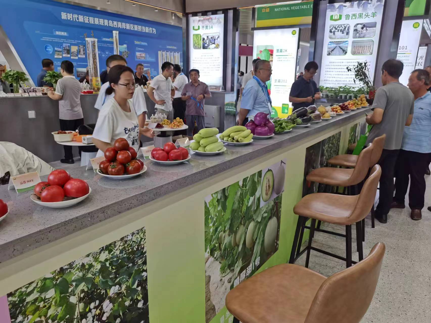 展示创新成果 共话种业未来 2024青岛首届种业博览会在青岛西海岸新区开幕