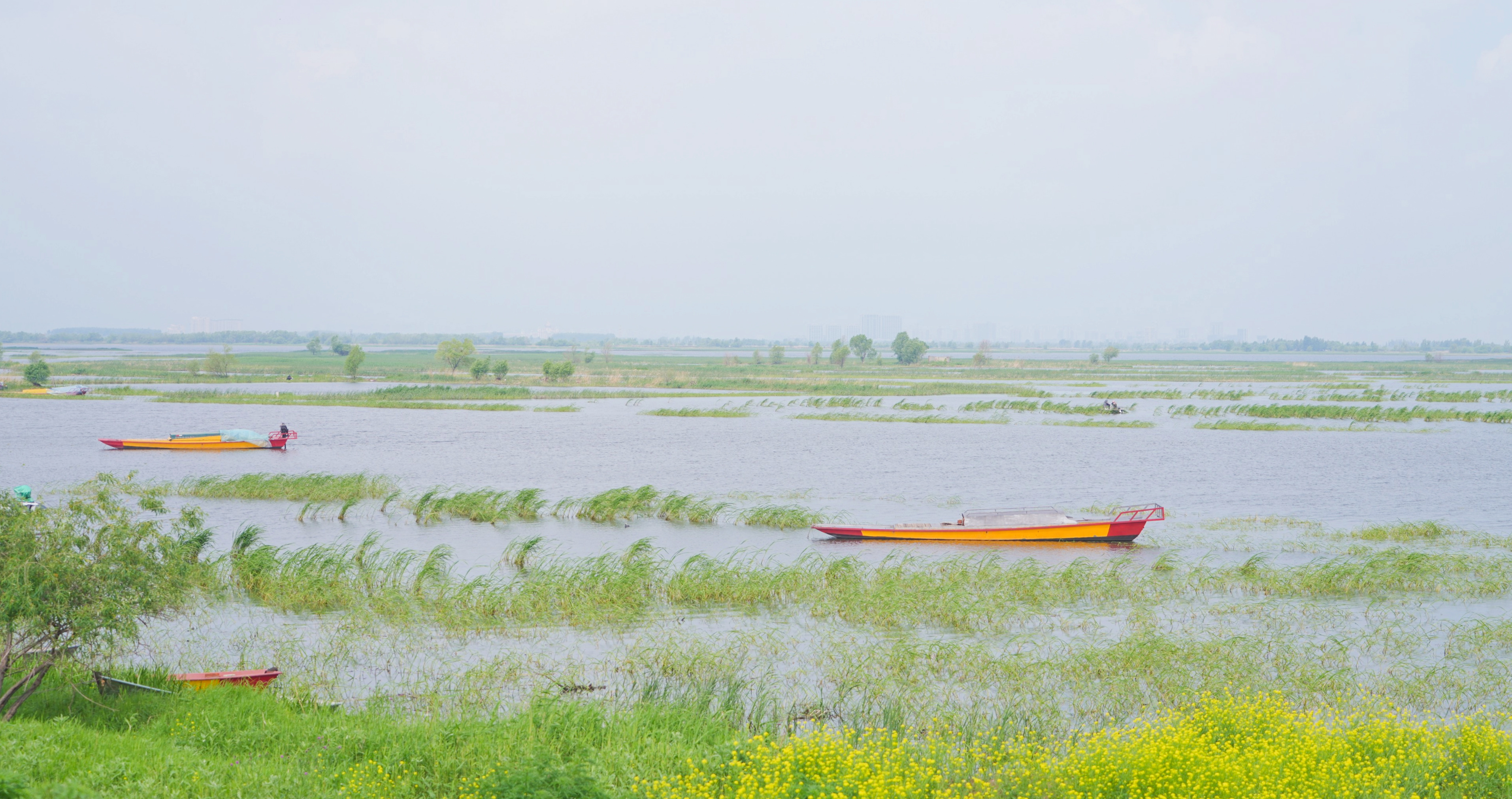 黑龙江湿地日暨哈尔滨湿地保护宣传月启动凤凰网黑龙江_凤凰网