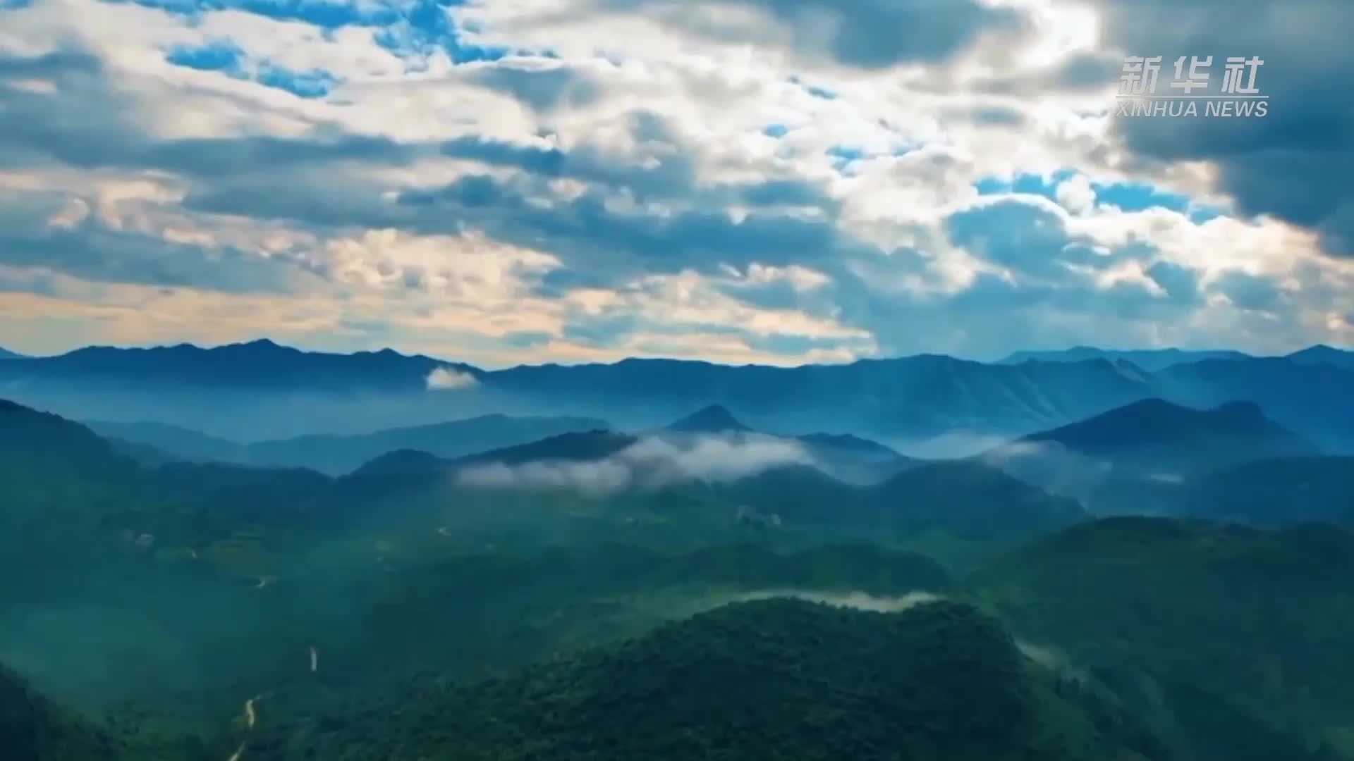 新时代中国调研行之看区域·中部篇｜科技创新擦亮中部地区产业“新名片”