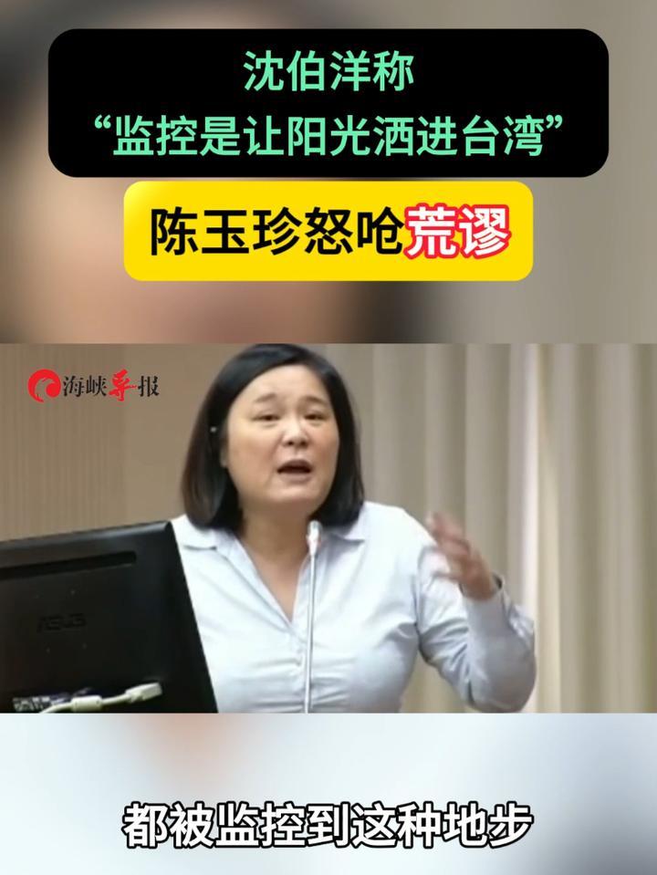 沈伯洋称监控是让阳光洒进台湾陈玉珍怒呛荒谬