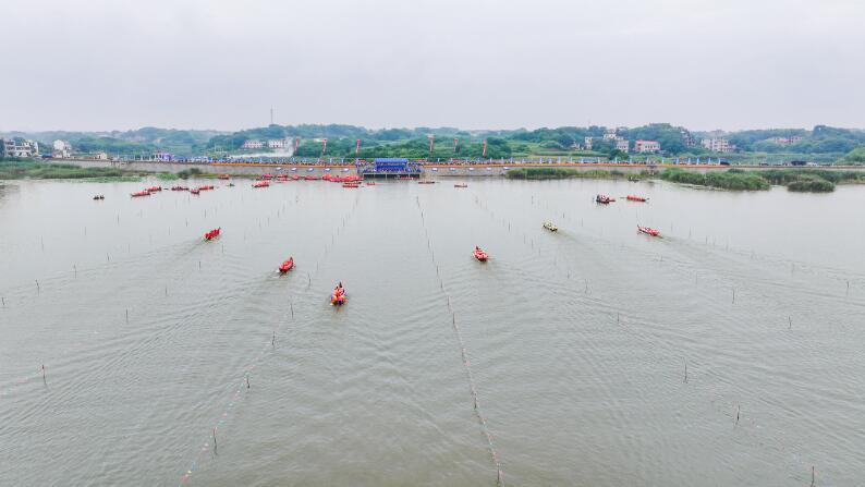 九江柴桑区：龙舟扬波 端午赛风采