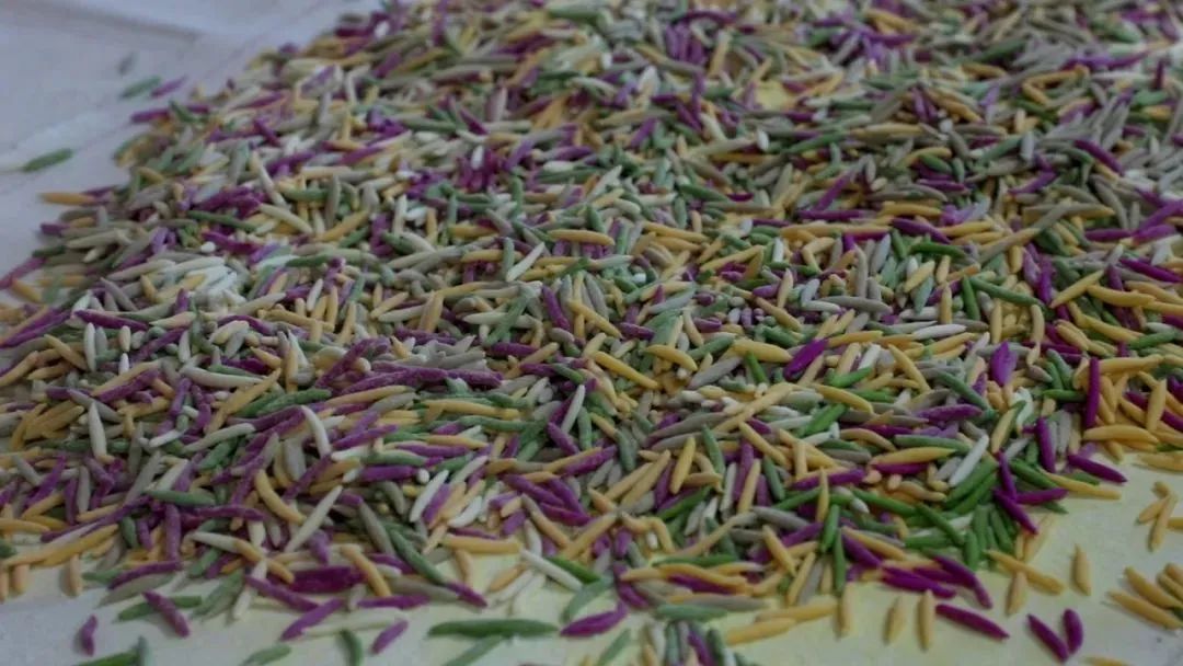 图源:人民网甘肃频道。