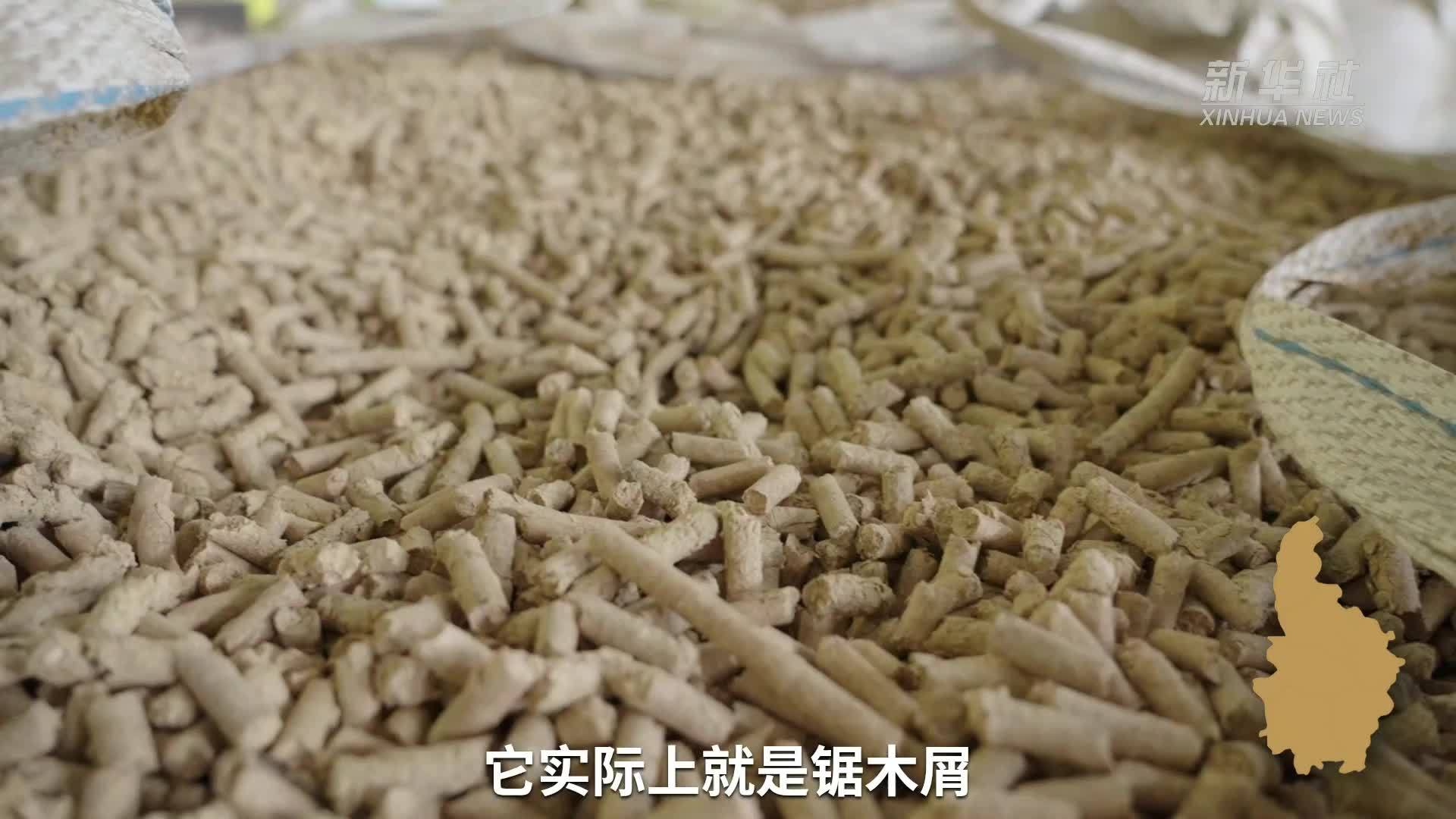 新时代中国调研行之看区域·中部篇｜江西南昌：智慧农场助力农业提质增效