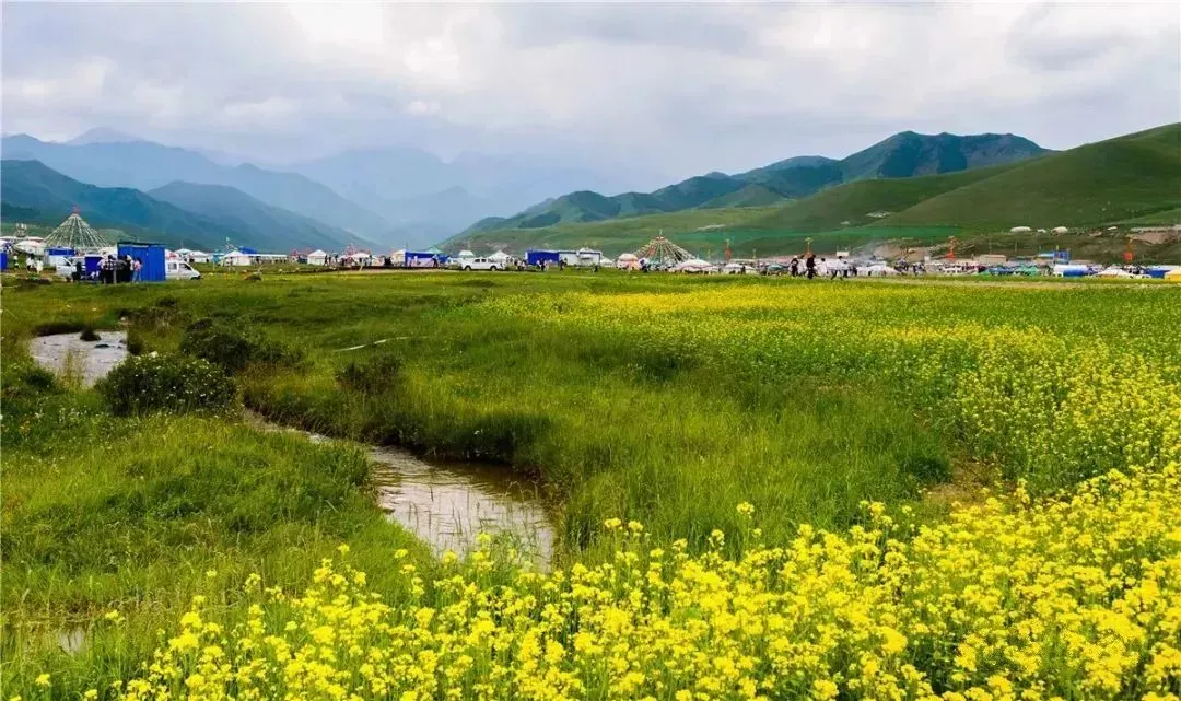 瞒不住了！武威人有自己的“阿勒泰”……