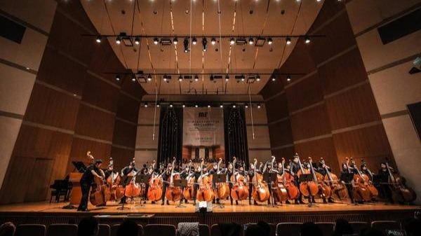 琴音无垠、共鸣青岛----2024国际低音提琴艺术节即将盛大启航