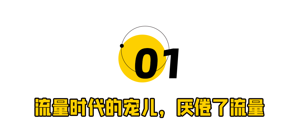“一哥”董宇辉，走到退网尽头？