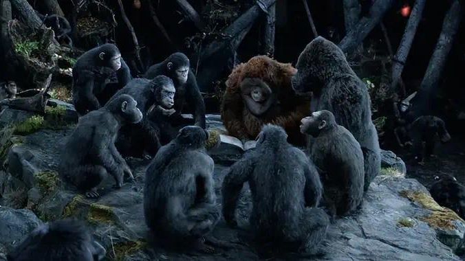 《猩球崛起：新世界》：进化快一点上班，进化慢一点上桌封面图