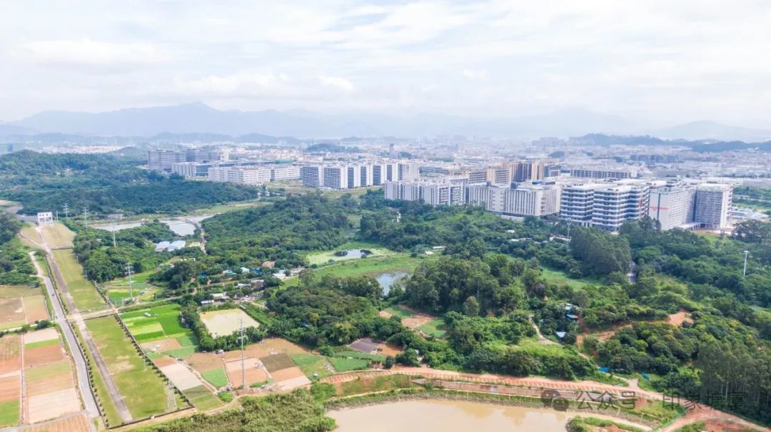 塘厦奋力推动省典型镇培育不断迈上新台阶凤凰网东莞_凤凰网