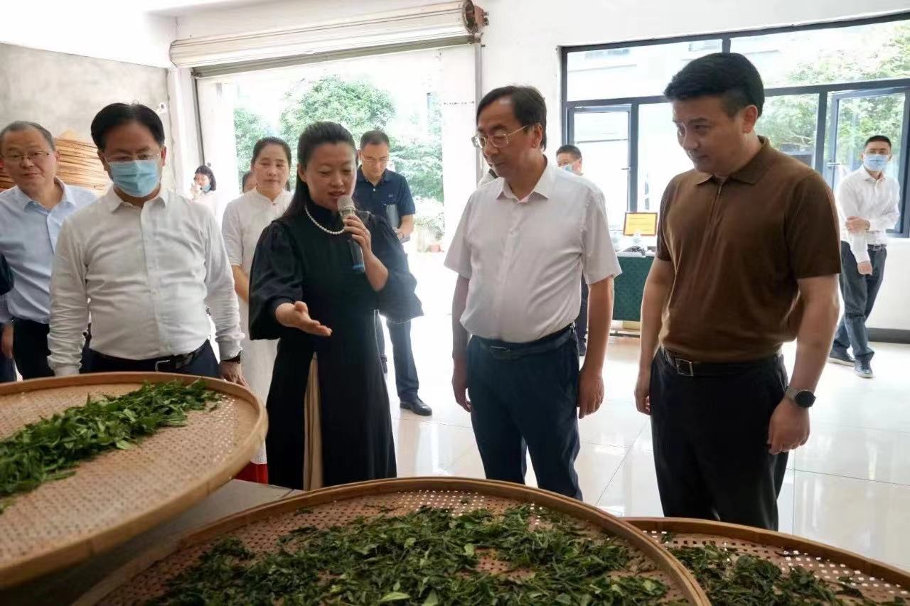 “土叶子”真正变成了“金叶子”——一件提案促成西湖茶产业背后的发展故事