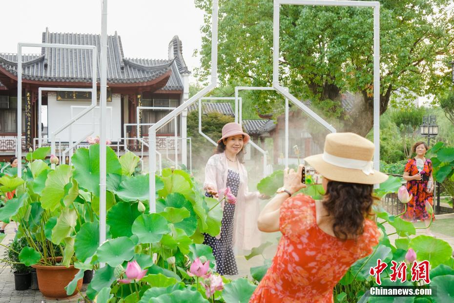 湖北武汉：游人络绎游沙湖 千年楚韵染荷香