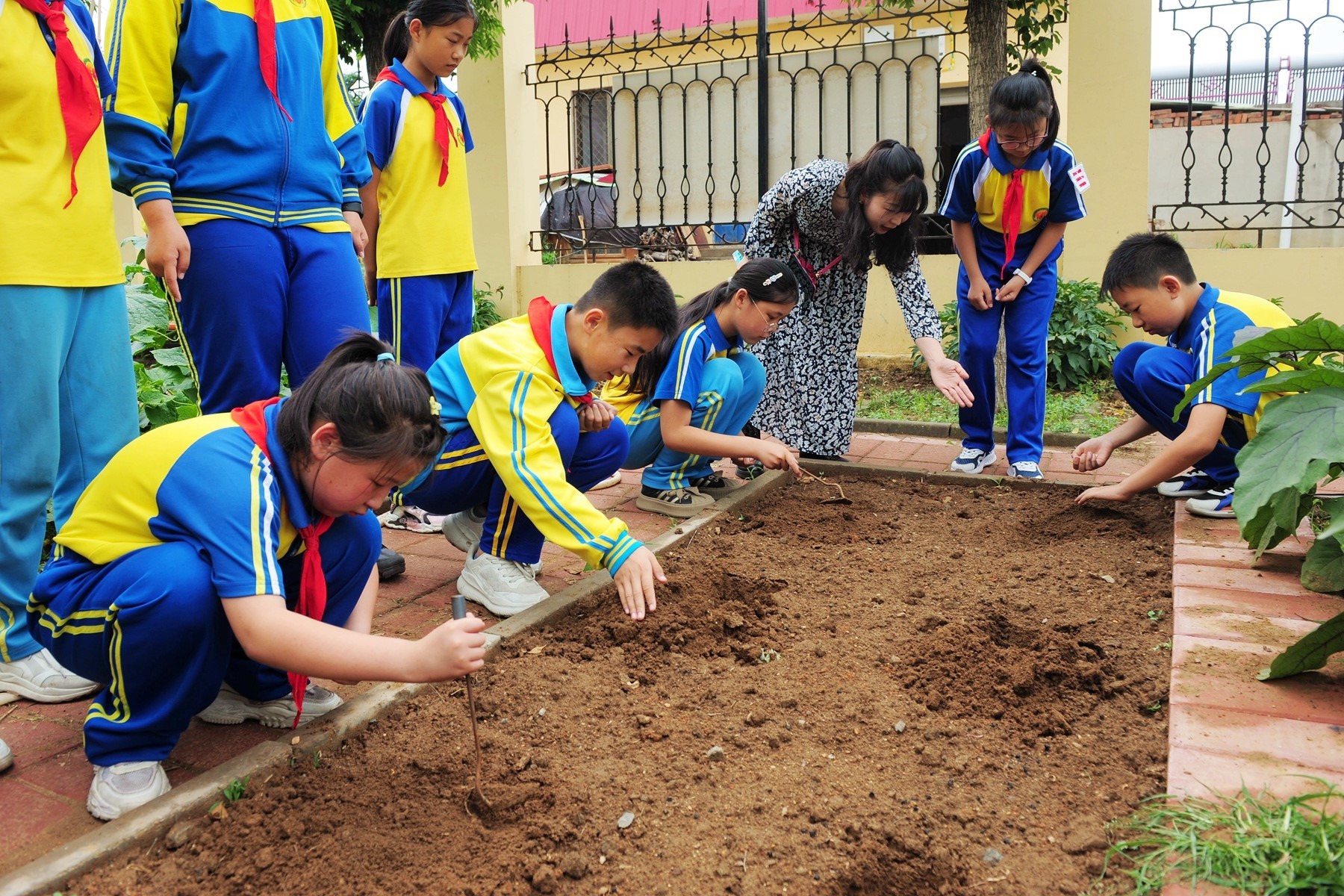 在老师的指导下，学生们认真学习玉米播种的知识