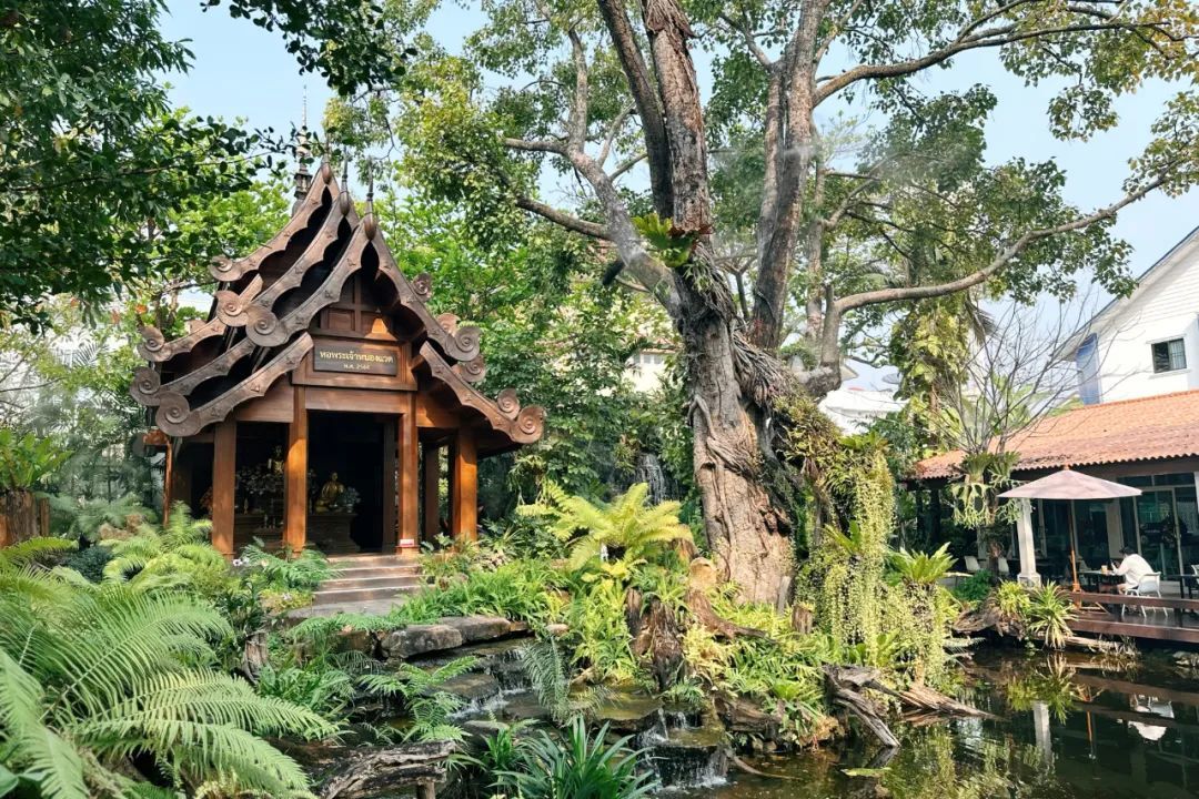 还有一个重要因素是“天气”。跟想象中炎热、潮湿的热带国家气候不同，清迈的天气比较干燥，湿度较低，而且有长达四个月的凉季，从11月开始到翌年2月，平均气温26度，基本不用开空调。