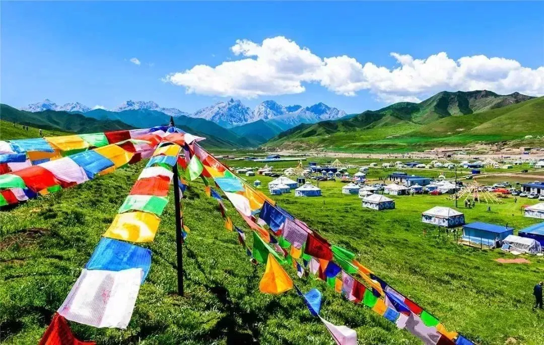 抓喜秀龙草原