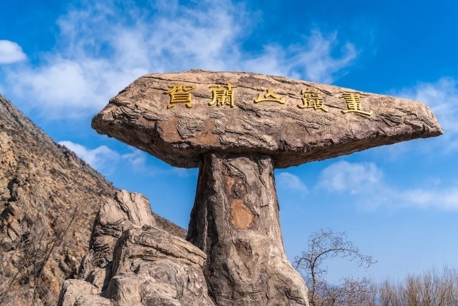 「宁夏」，你可太宝藏了