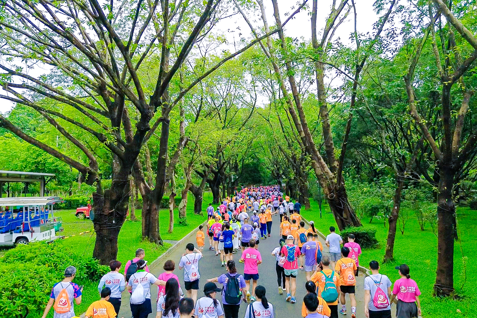 “热血跑”2024深圳无偿献血健康公益跑激情开跑