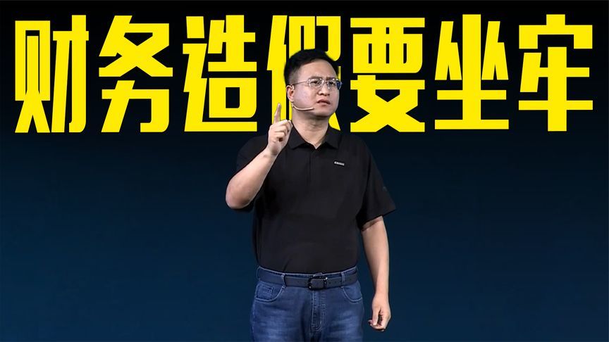 长城汽车李瑞峰：财务造假是要坐牢的