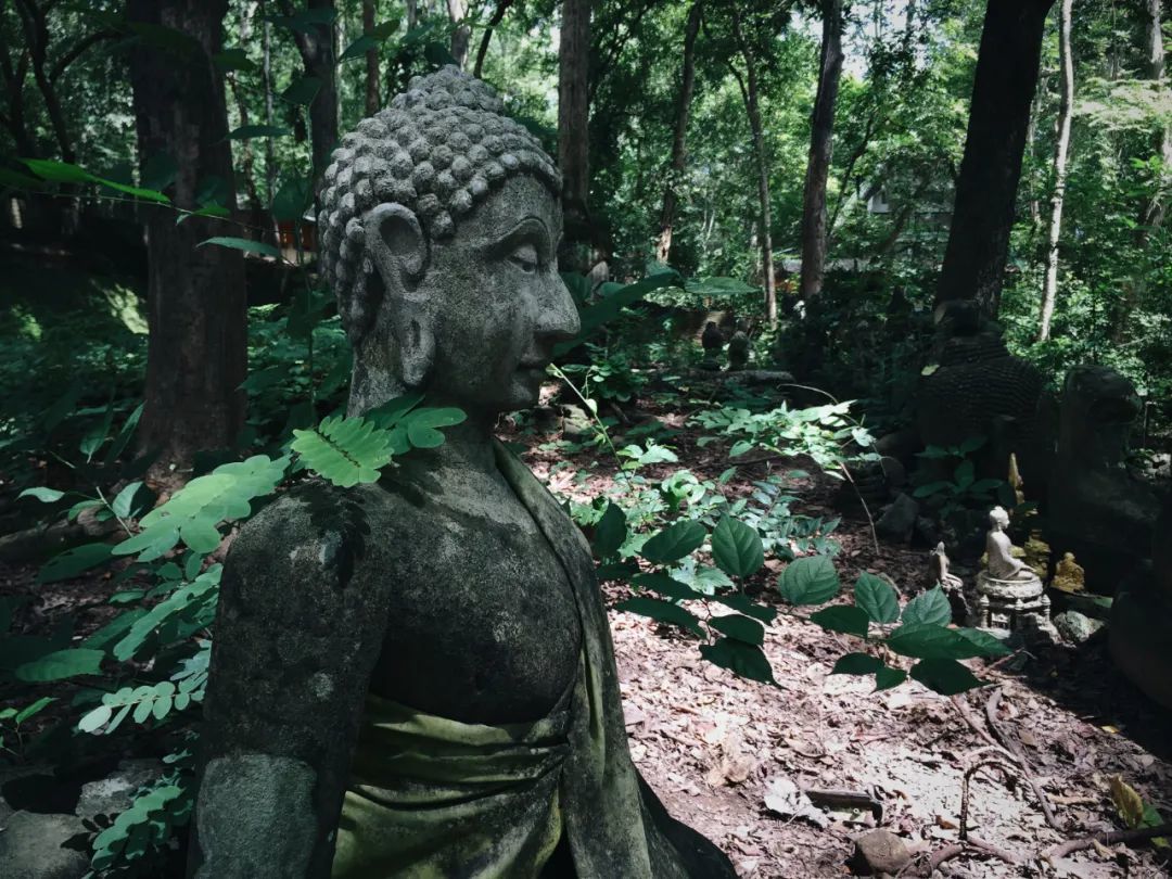 700年的历史沧桑，时光仿佛停滞了一样，清幽而古朴。