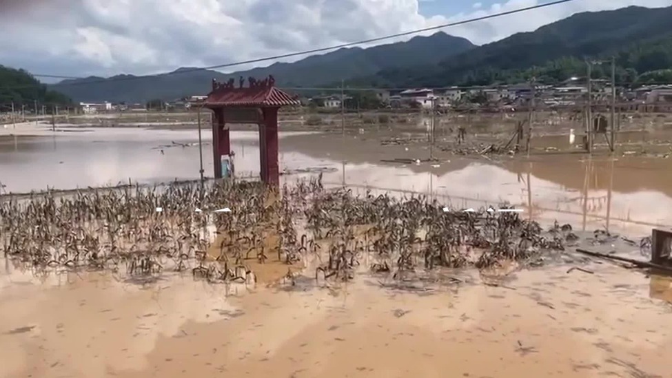 梅州洪水后有大学生请假回家清淤泥：恢复原状至少要半个月，损失上万元