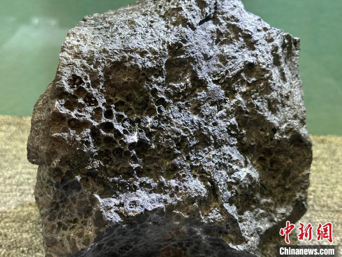 6月21日，在甘肃省矿业权出让项目推介会上展示的锰矿石。戴文昌　摄