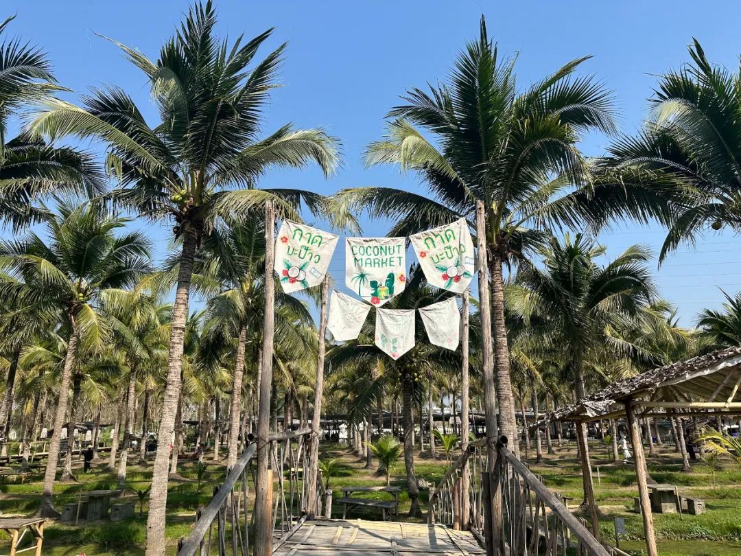 椰林市集