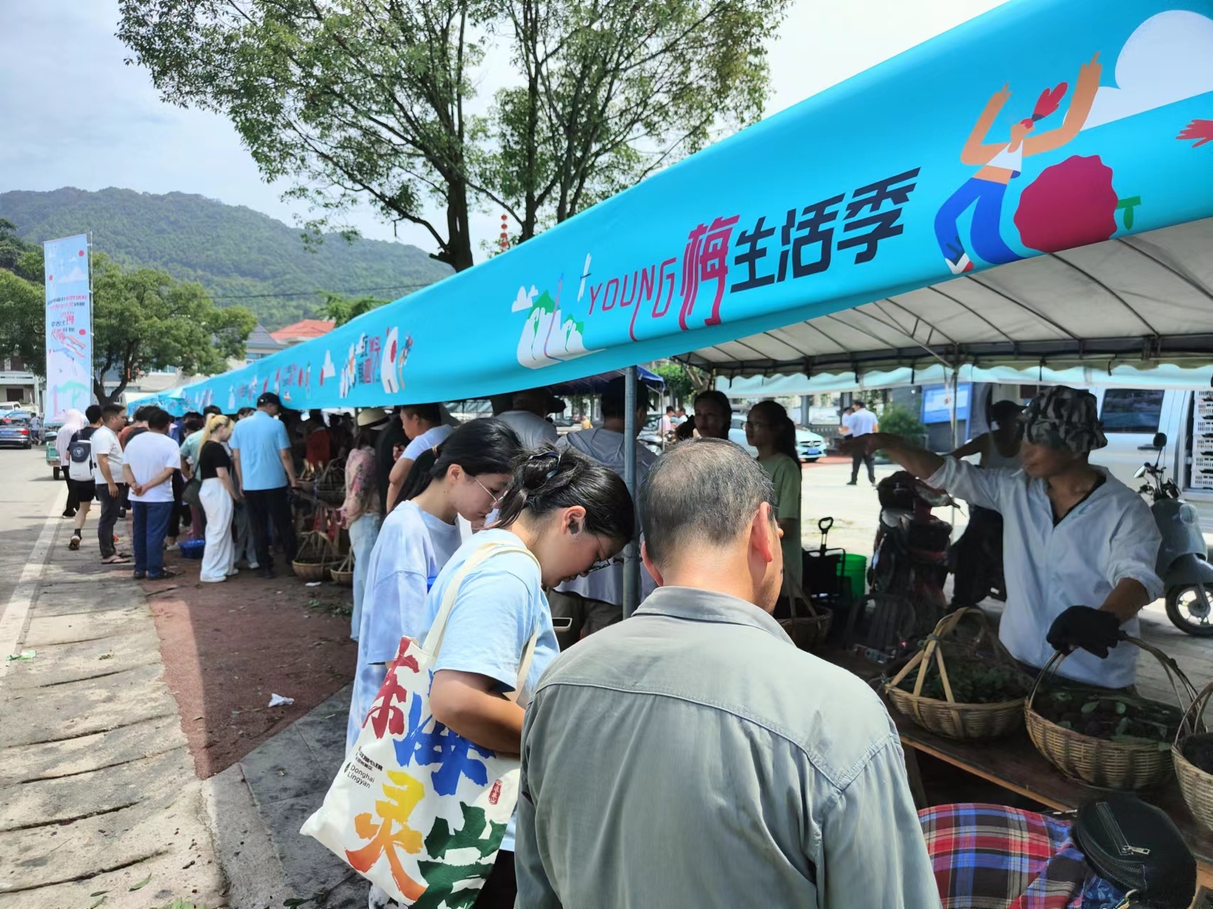 象山泗洲头Young梅生活季：多元活动齐绽放，农文旅融合促共富