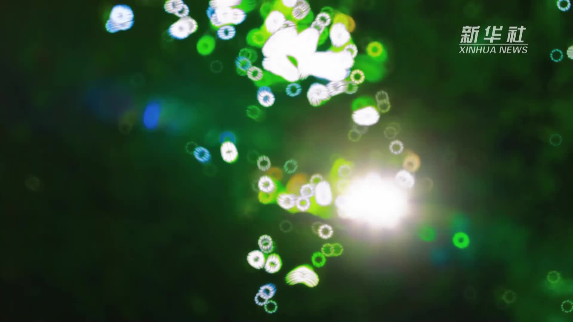 辽宁开原：赏一座夏日时光里的辽北小城