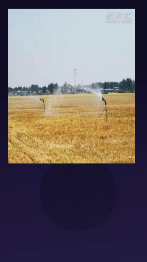 农业农村部启动农业抗旱三级应急响应