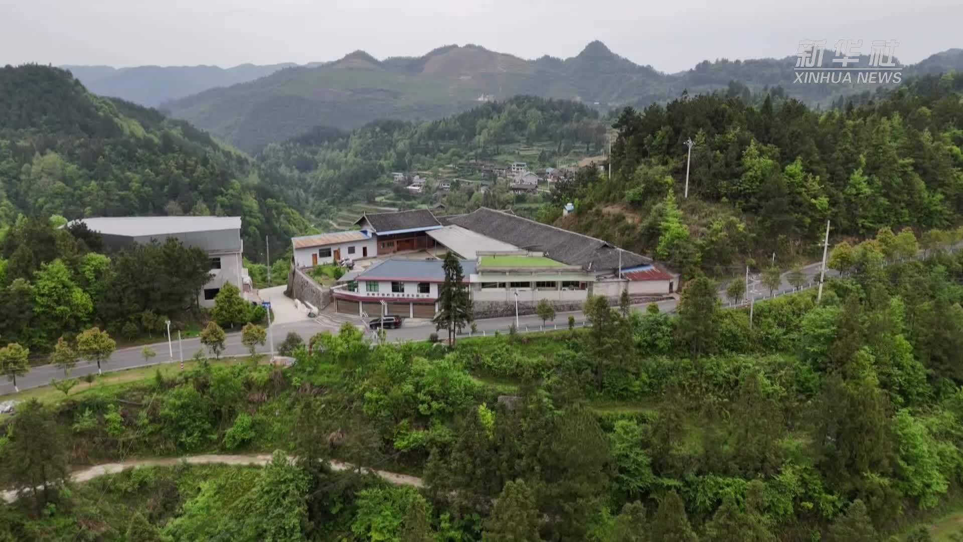 乡村振兴看石阡：乡土人才绘就乡村振兴新画卷