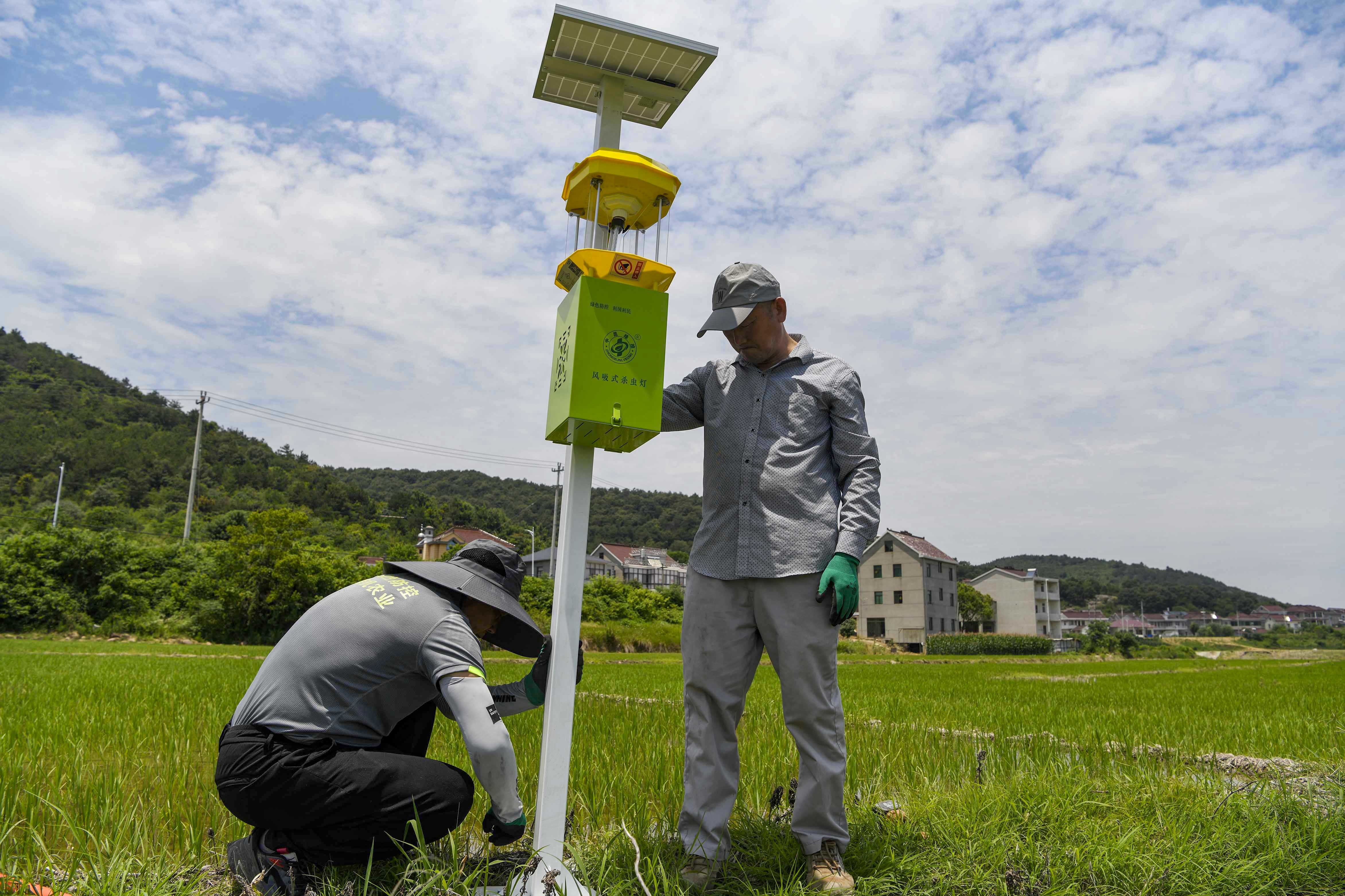 铜陵市郊区稻田灭虫灯绿色又环保