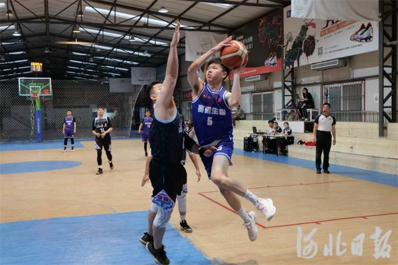 图为2024张家口城市联赛篮球项目比赛现场。张家口市体育局供图