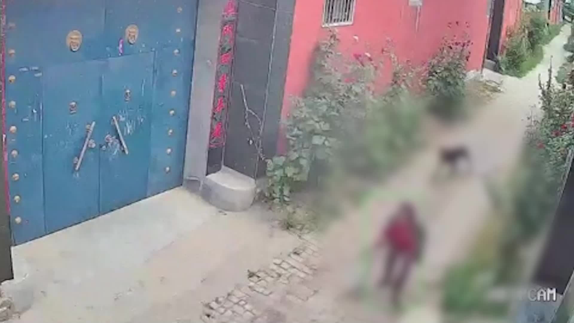 山东菏泽一拄拐老人遭恶犬撕咬，当地：正在调查，老人已送医，病情较稳定