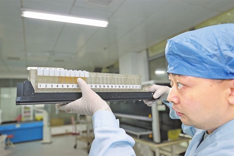 在省血液中心，工作人员对血液标本进行核酸检测。