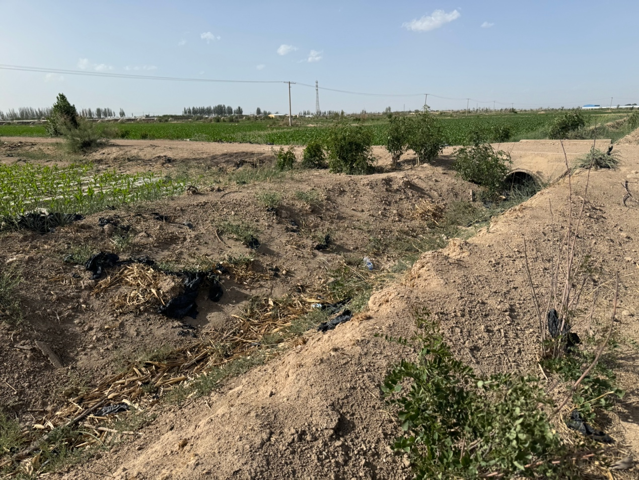 薛百镇何大村灌溉土渠