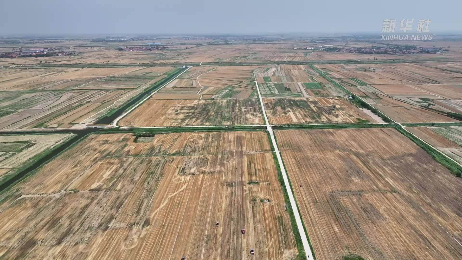 科技助力夏播“智慧范”显身手