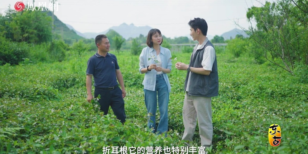 盛林农场：生态园里的健康“十二风味”